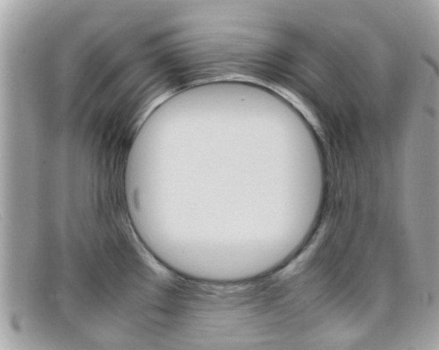 X0000095951289200801110908