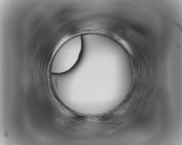 X0000095951291200801110908