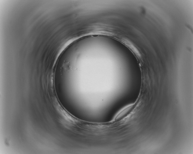 X0000095951292200801110908