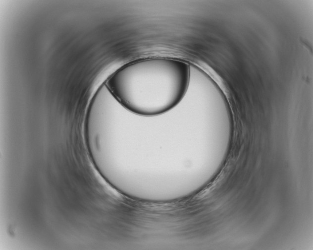 X0000095951293200801110908
