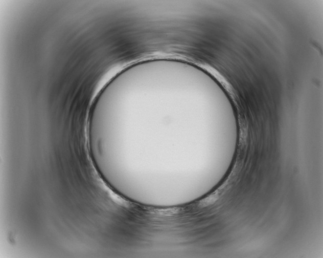 X0000095951294200801110908