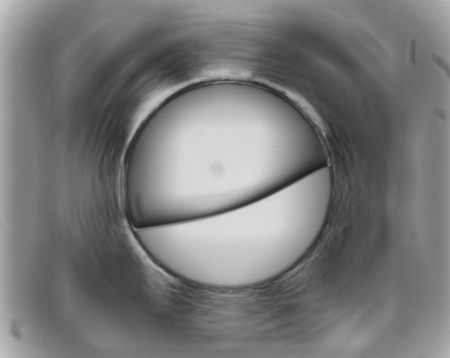 X0000095951295200801110908