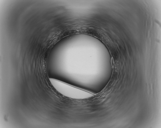 X0000095951298200801110907