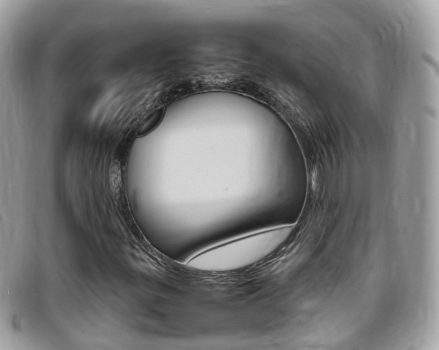 X0000095951299200801110907