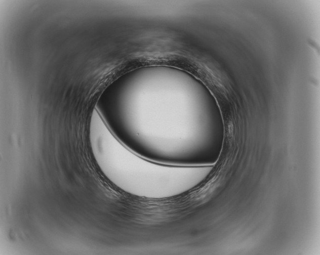 X0000095951300200801110907