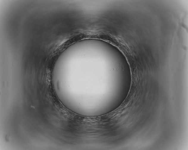 X0000095951301200801110907