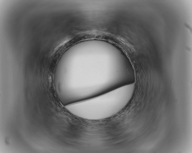X0000095951302200801110907