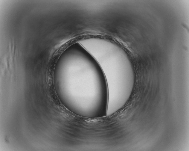 X0000095951303200801110907