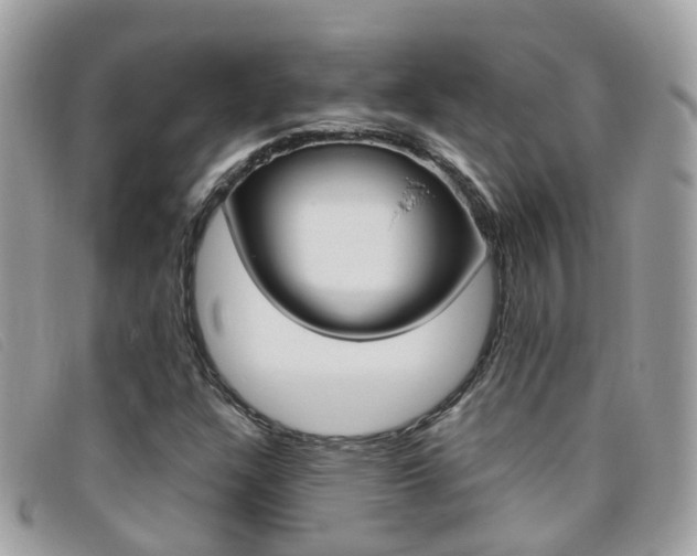 X0000095951304200801110907