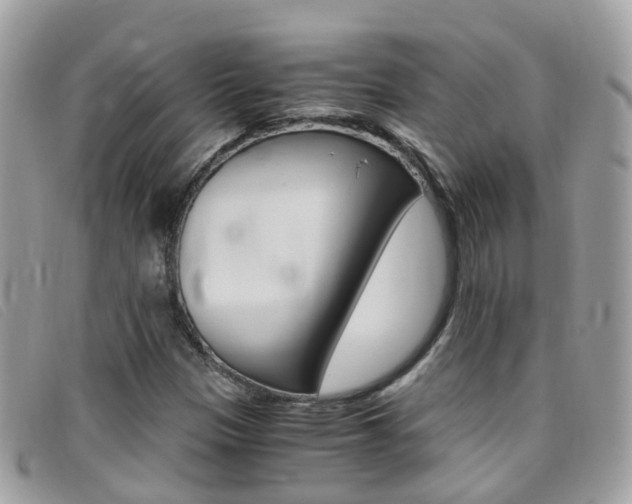 X0000095951305200801110907