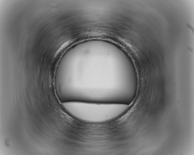 X0000095951306200801110907