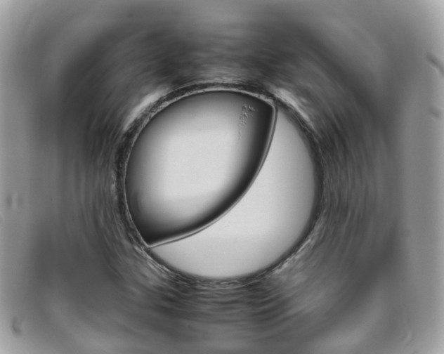 X0000095951307200801110907