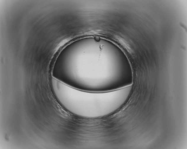 X0000095951308200801110907