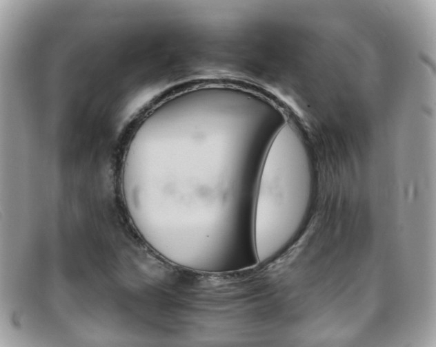 X0000095951311200801110907