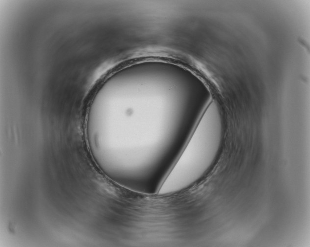 X0000095951312200801110907