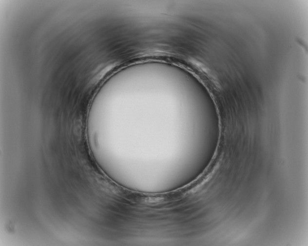 X0000095951313200801110907