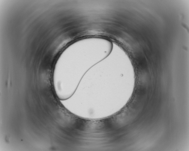 X0000095951314200801110907