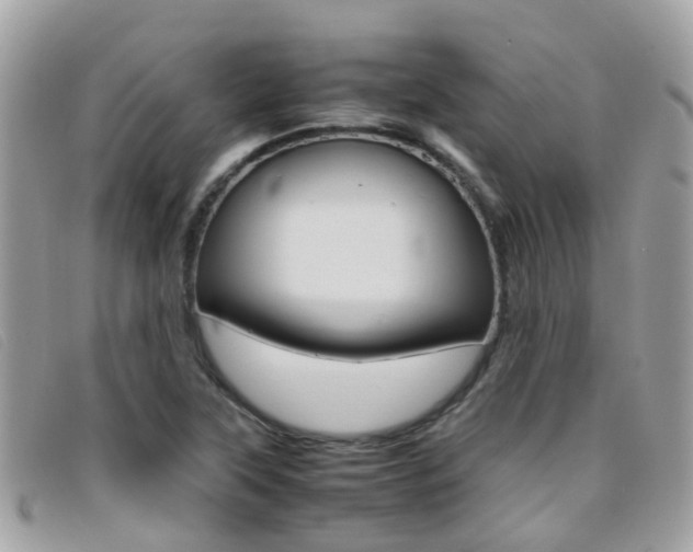 X0000095951315200801110907