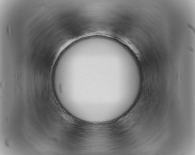X0000095951316200801110907