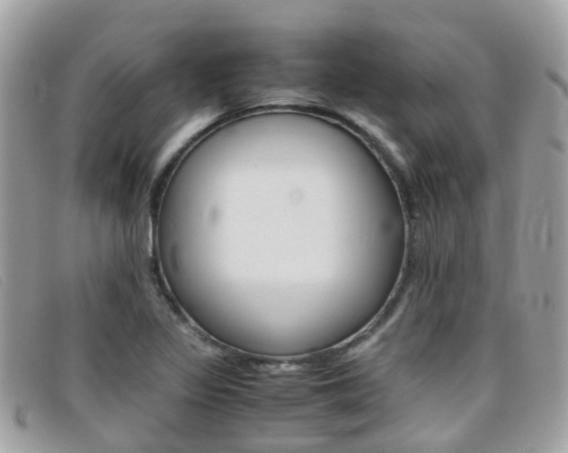 X0000095951317200801110907