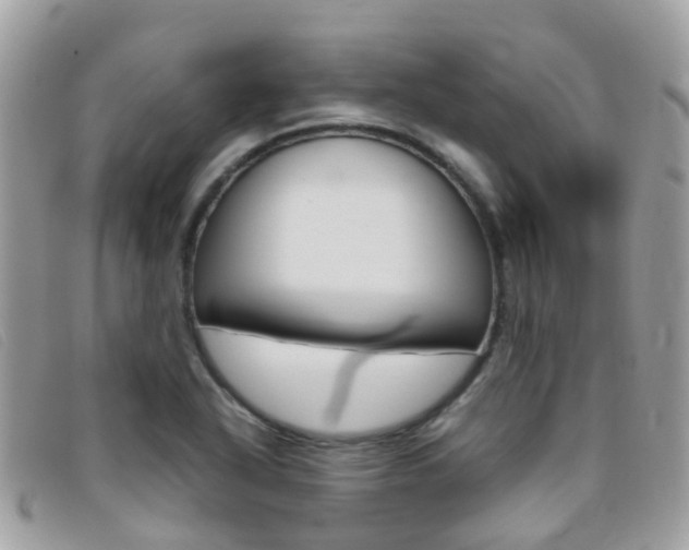 X0000095951318200801110907