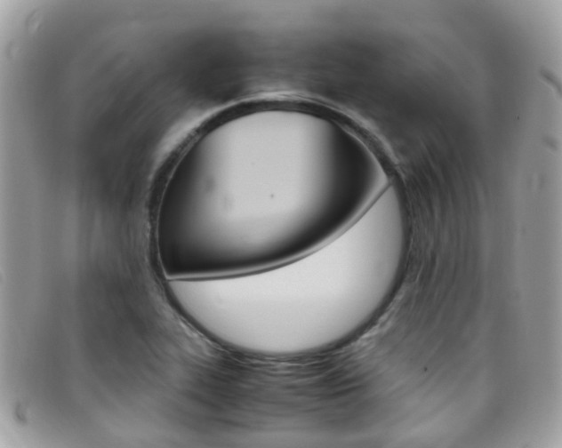 X0000095951319200801110907