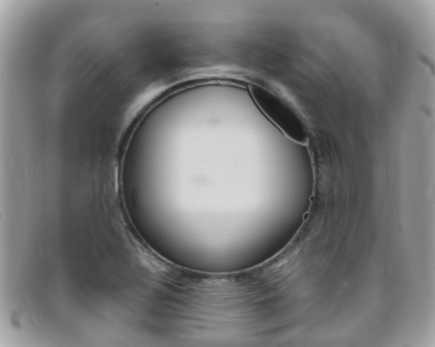X0000095951320200801110907