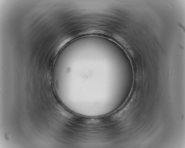 X0000095951321200801110907