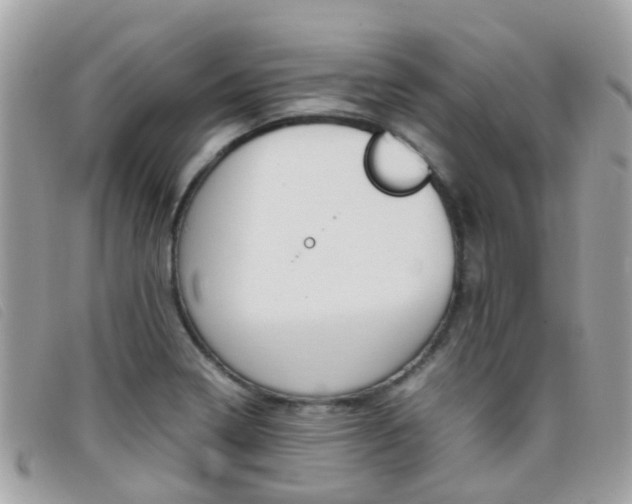 X0000095951322200801110907