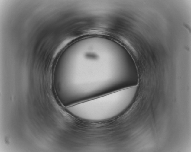 X0000095951323200801110907