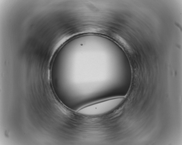 X0000095951324200801110907