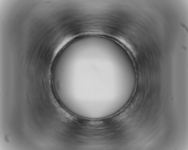 X0000095951325200801110907
