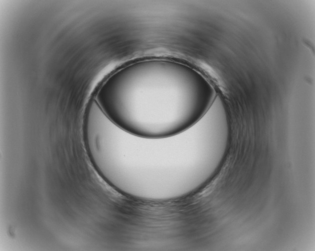 X0000095951326200801110907