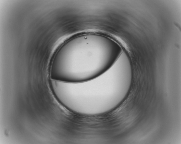 X0000095951327200801110907
