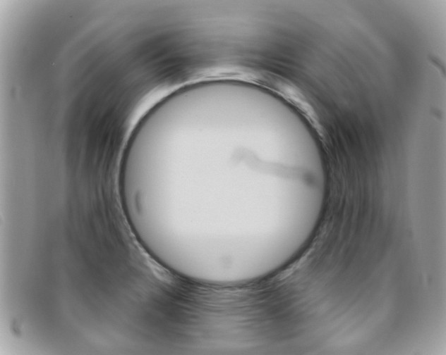 X0000095951328200801110907