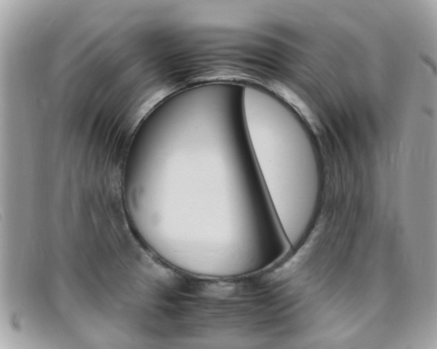 X0000095951329200801110907