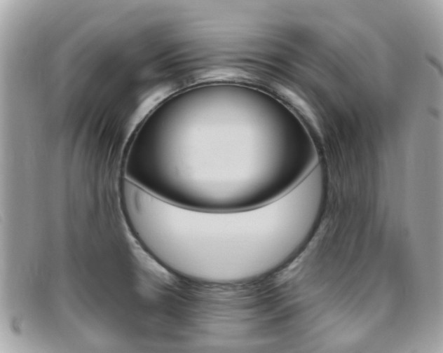 X0000095951330200801110907