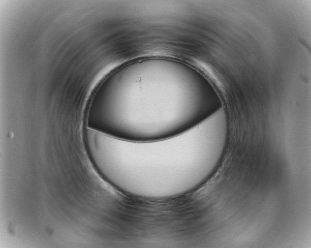 X0000095951331200801110907