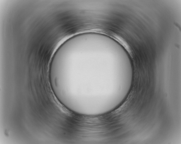 X0000095951332200801110907