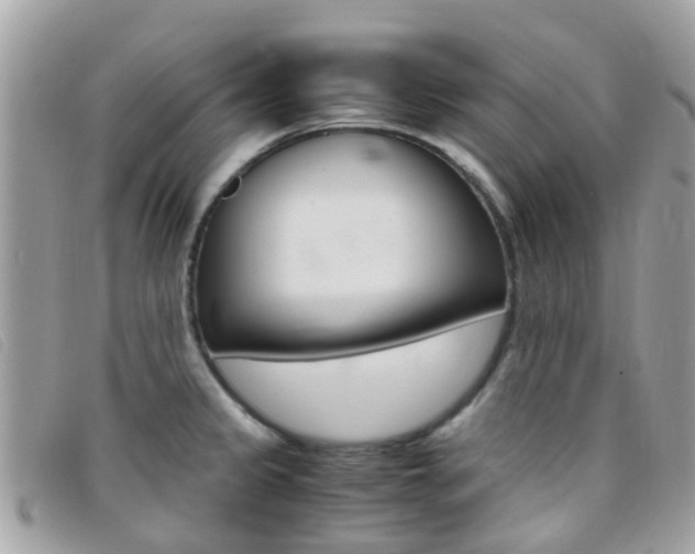 X0000095951333200801110907