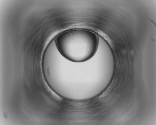 X0000095951334200801110907