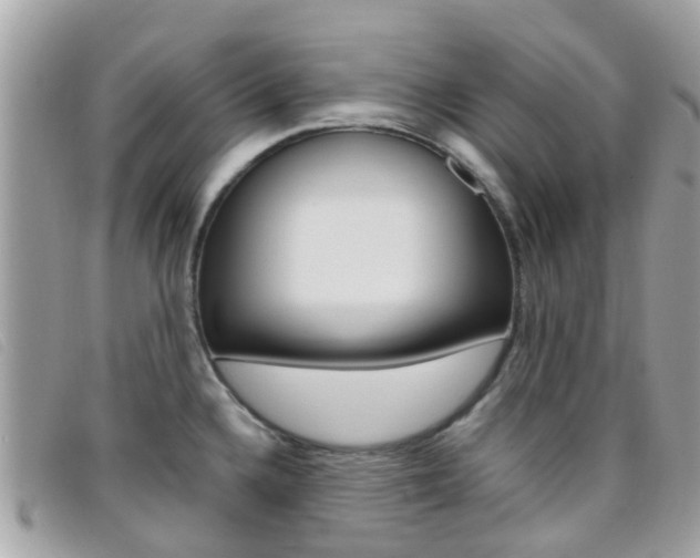 X0000095951336200801110907