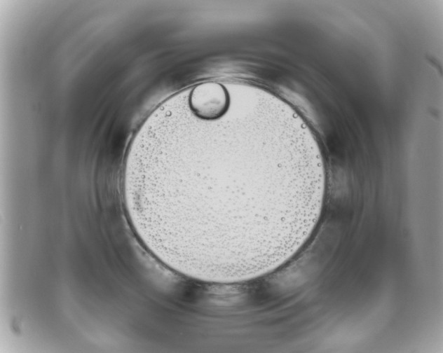 X0000095951338200801110907