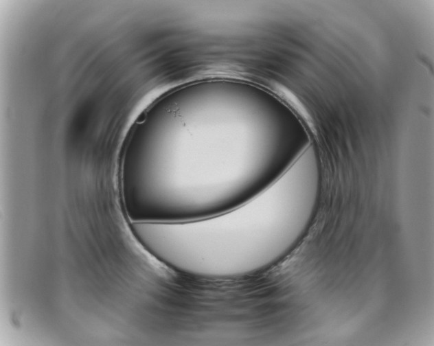 X0000095951339200801110907