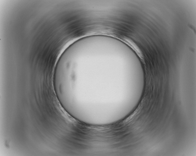 X0000095951340200801110908