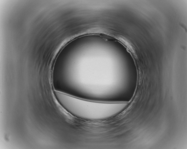 X0000095951342200801110908