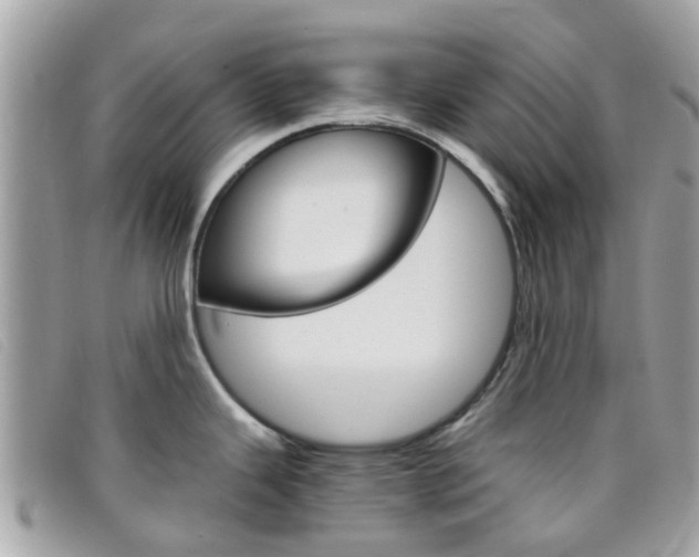 X0000095951343200801110908