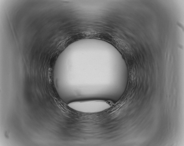 X0000095951346200801110907
