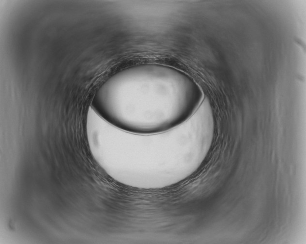 X0000095951347200801110907