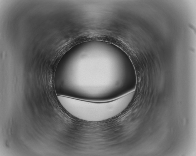 X0000095951348200801110907